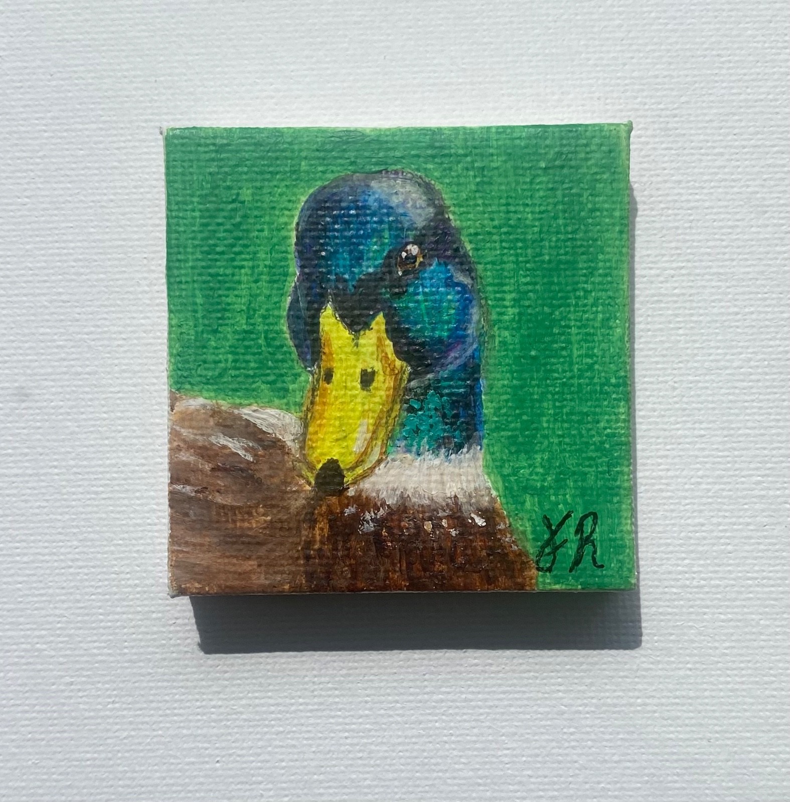 Original, Mallard Duck, Acrylic Mini Painting 2in by 2in Art