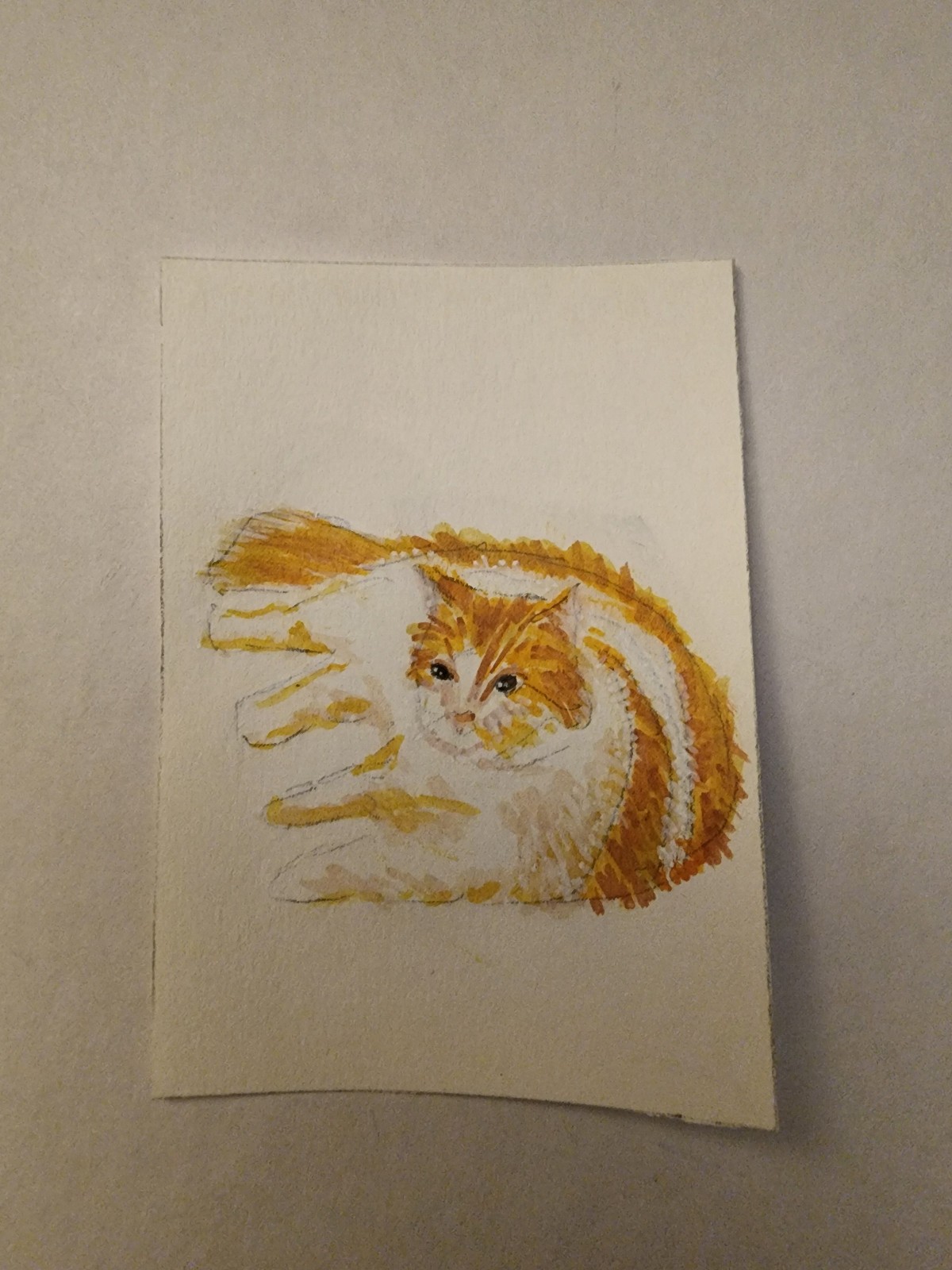 ACEO Original Acrylic Painting Abstract Fluffy Orange White Tabby Cat by Kiva