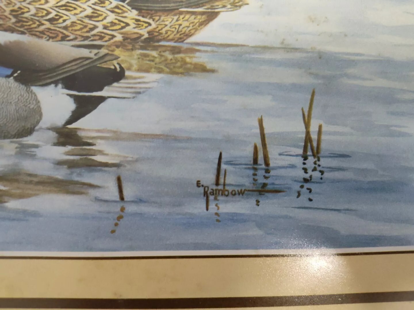 Erwin Rambow Framed Original Artwork of Wildlife Ducks in pond lake Signature