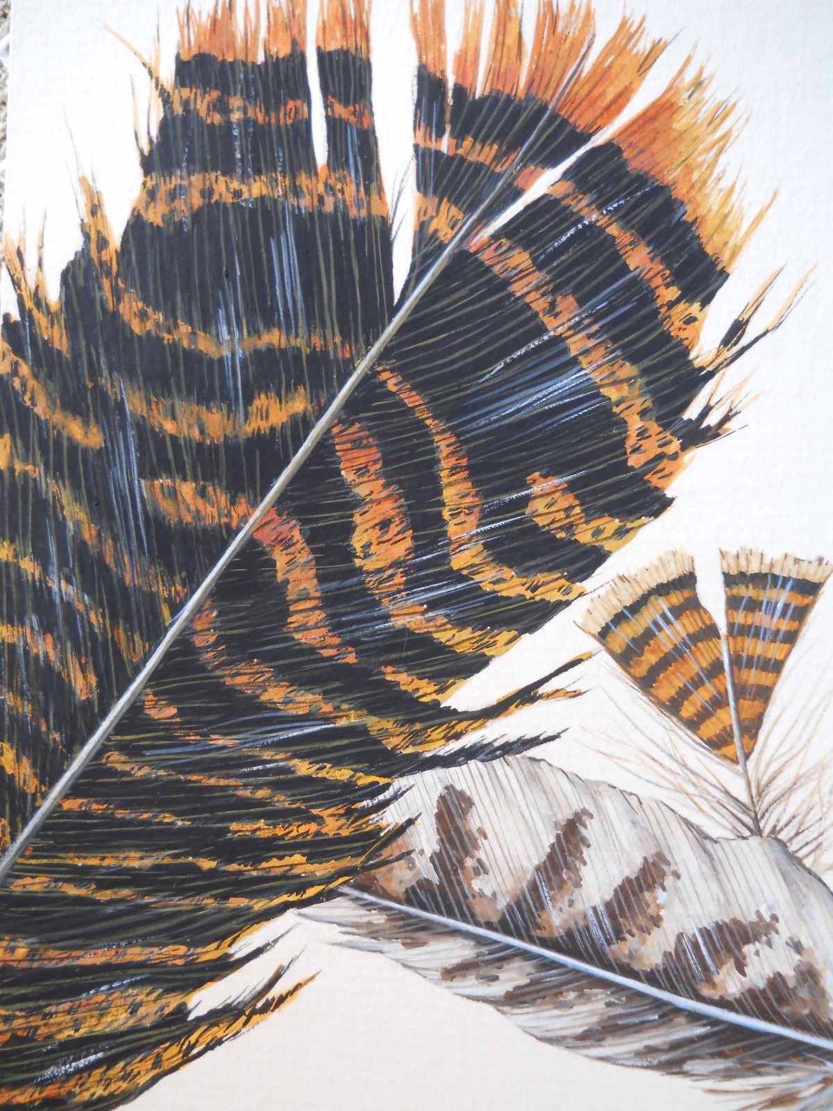 Original Gouache Turkey Feather Bird Wildlife Painting