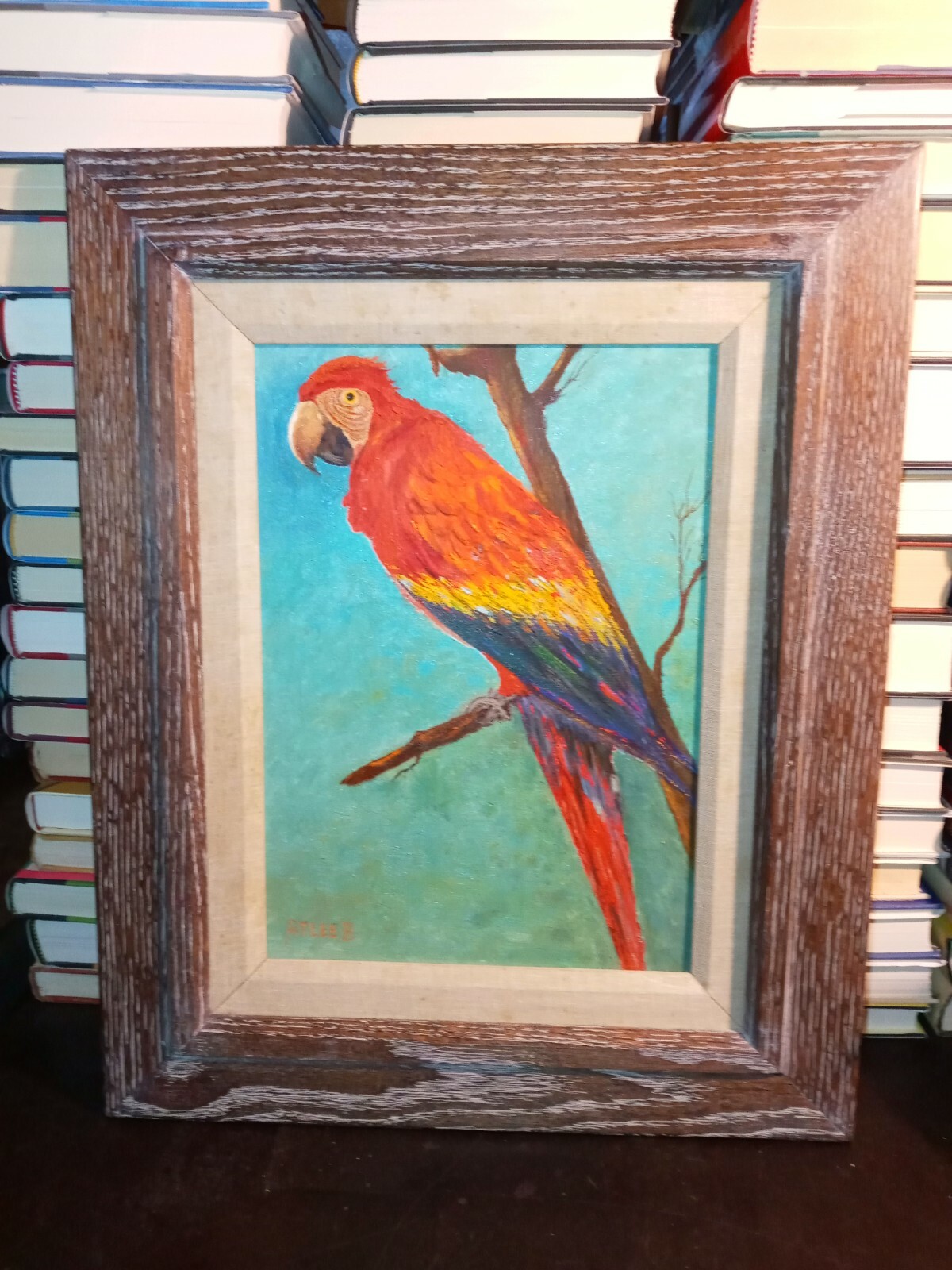 Macaw Parrot 10″ x 14″ Original Painting Signed Atlee B Oak Wood Frame 17″ x 21″