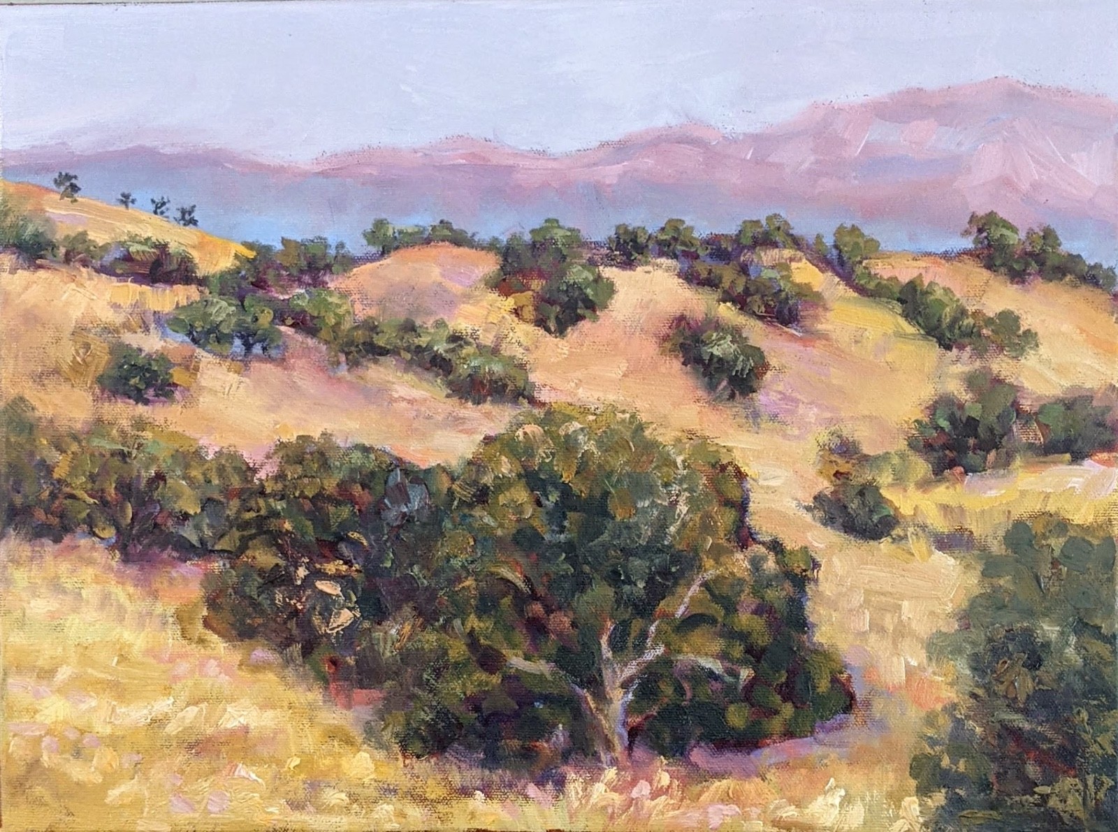 Silvia TRUJILLO impasto California hills oak trees impressionist oil landscape