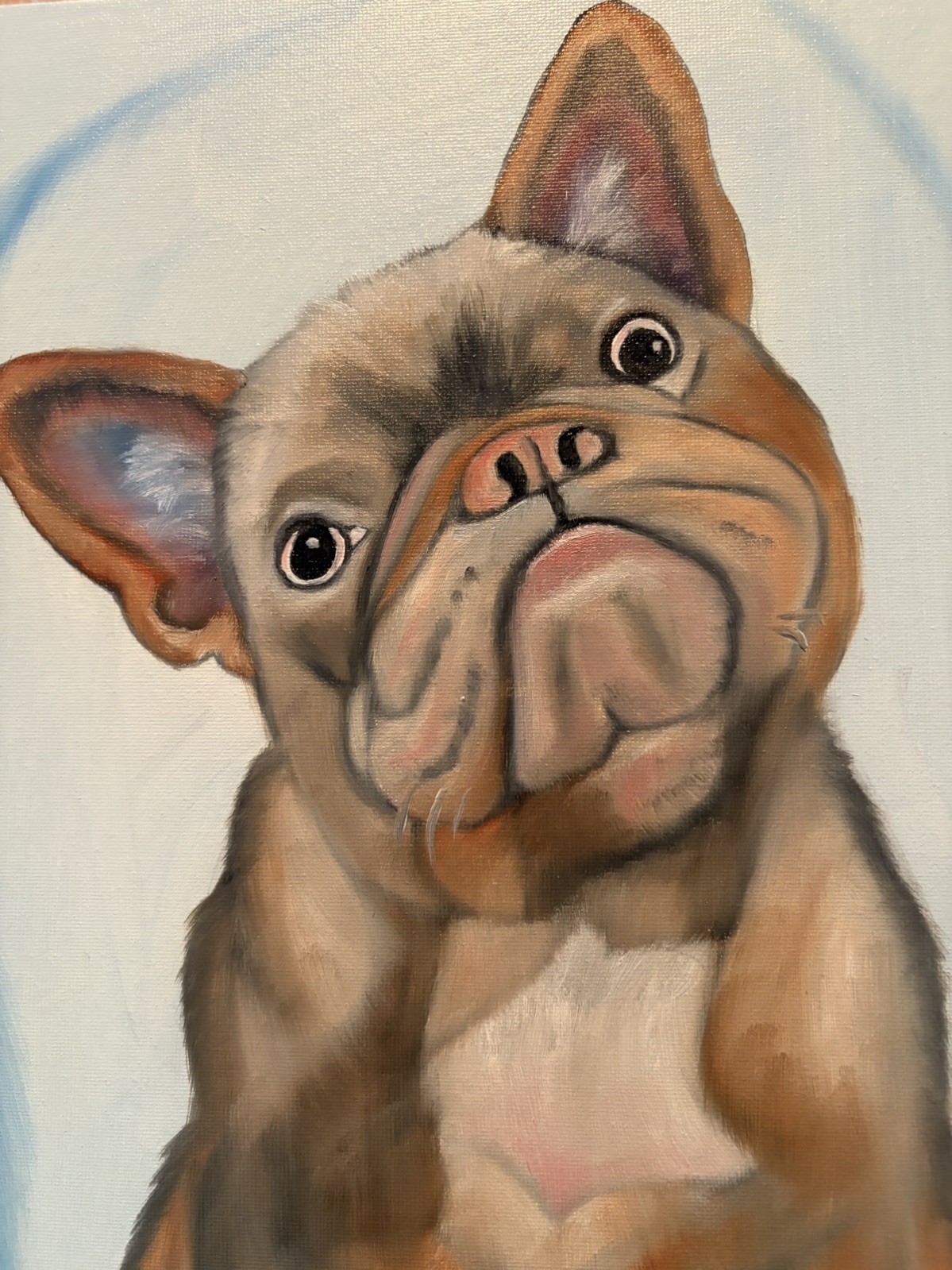 Original oil painting 11 x 14 inch French Bulldog with sassy attitude