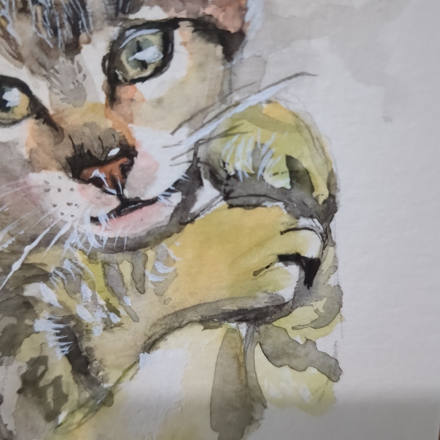 Original Watercolor Painting Cute Cat Portrait 4×5.5 by Jake J
