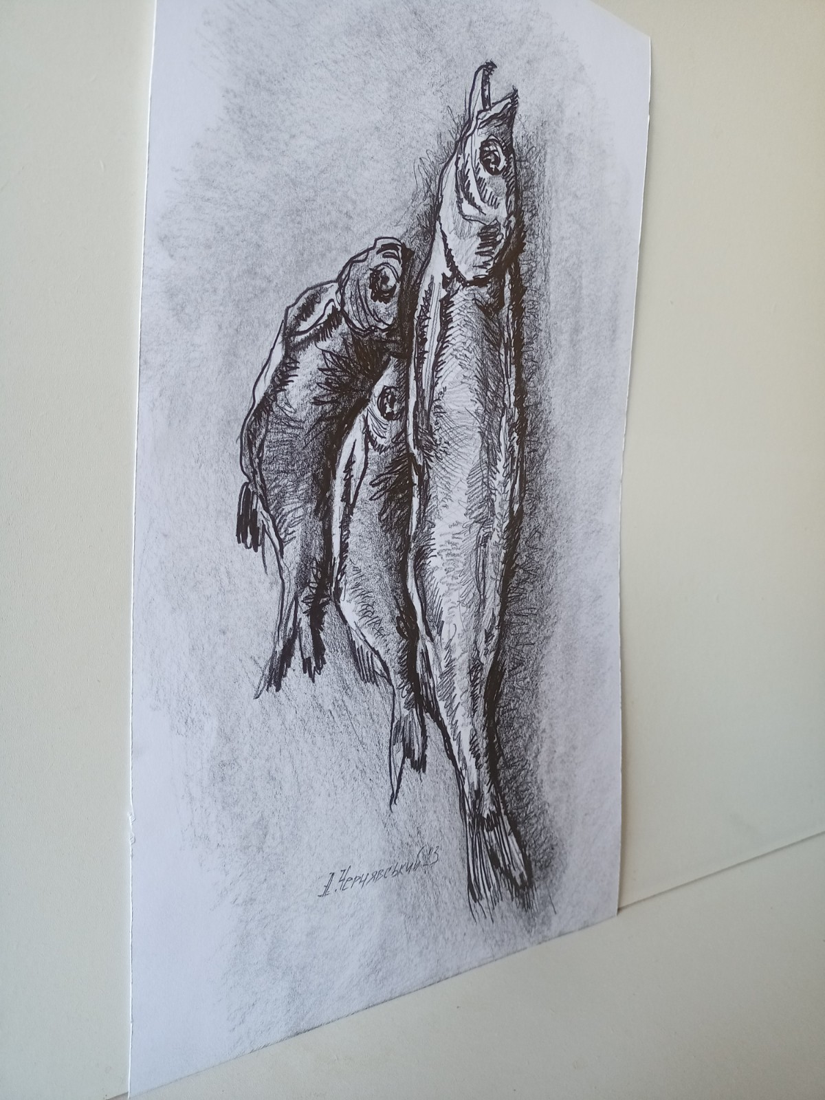 Fish Graphics Original Art Impression Paper Pensil Painting 16 x 8 in