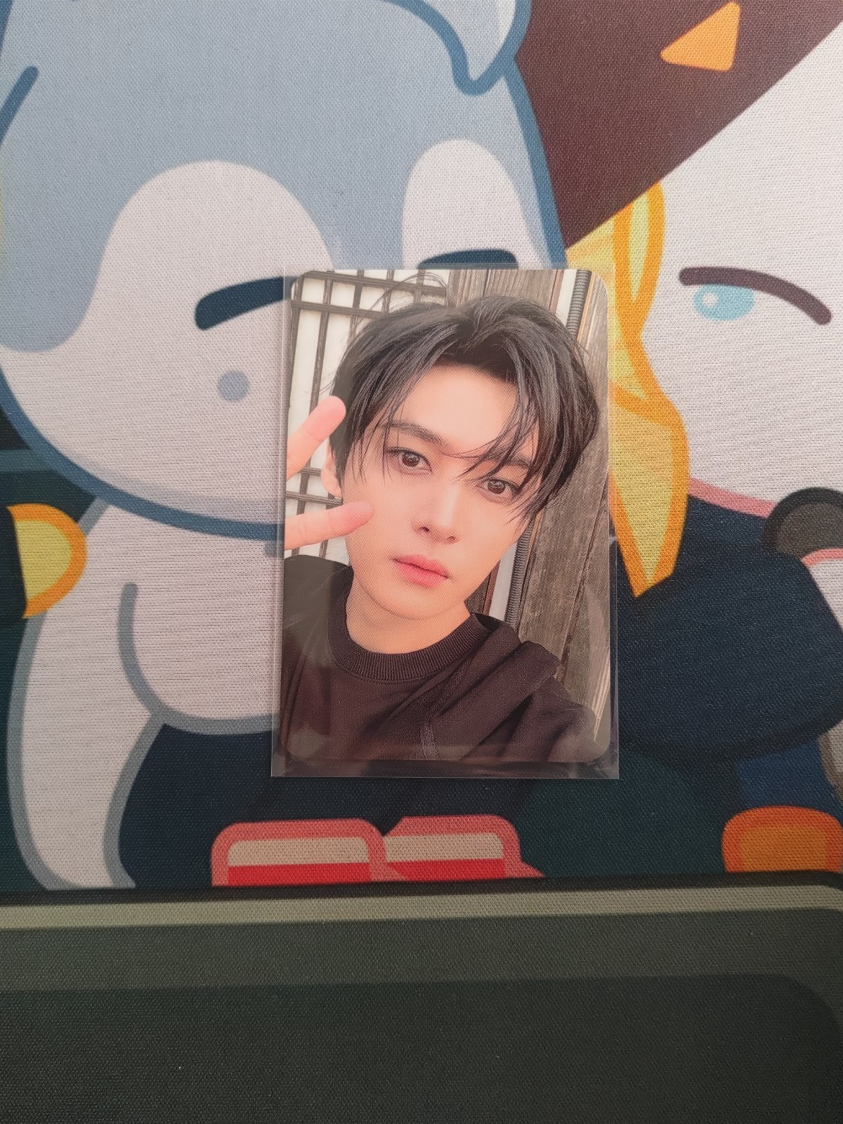 Official SKZ Stray Kids 合 HOP POB Photocards Music Korea FANS Store Apple Music