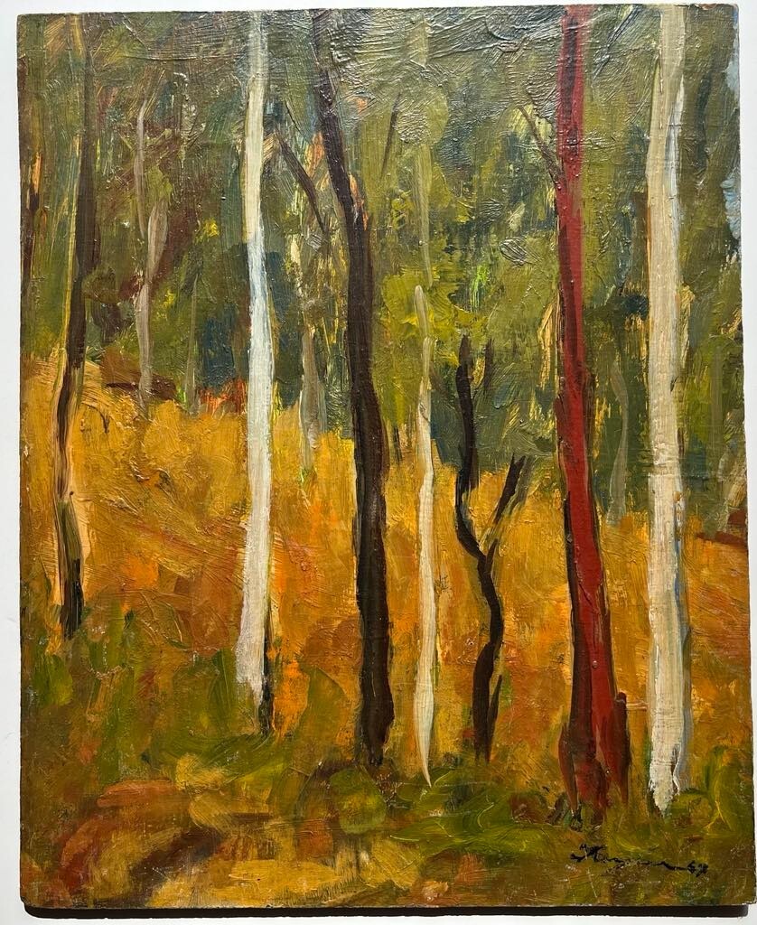 JOHN TAYLOR AUSTRALIAN UNFRAMED OIL «TREES AT SHERBROOKE FOREST VICTORIA » 1967