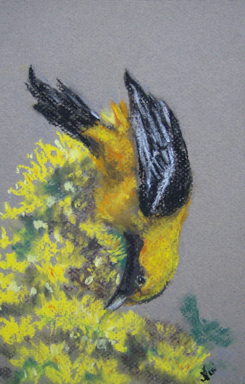 Original Handmade Artwork Oriole and Flowers Pastel Painting on Paper Fine Art