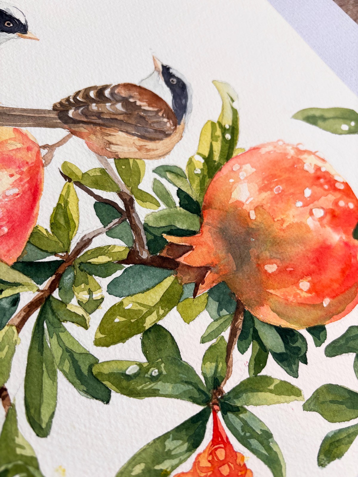 Original 11.7 x 16.5 inches Watercolor Painting «Two Birds in Pomegranate Tree»