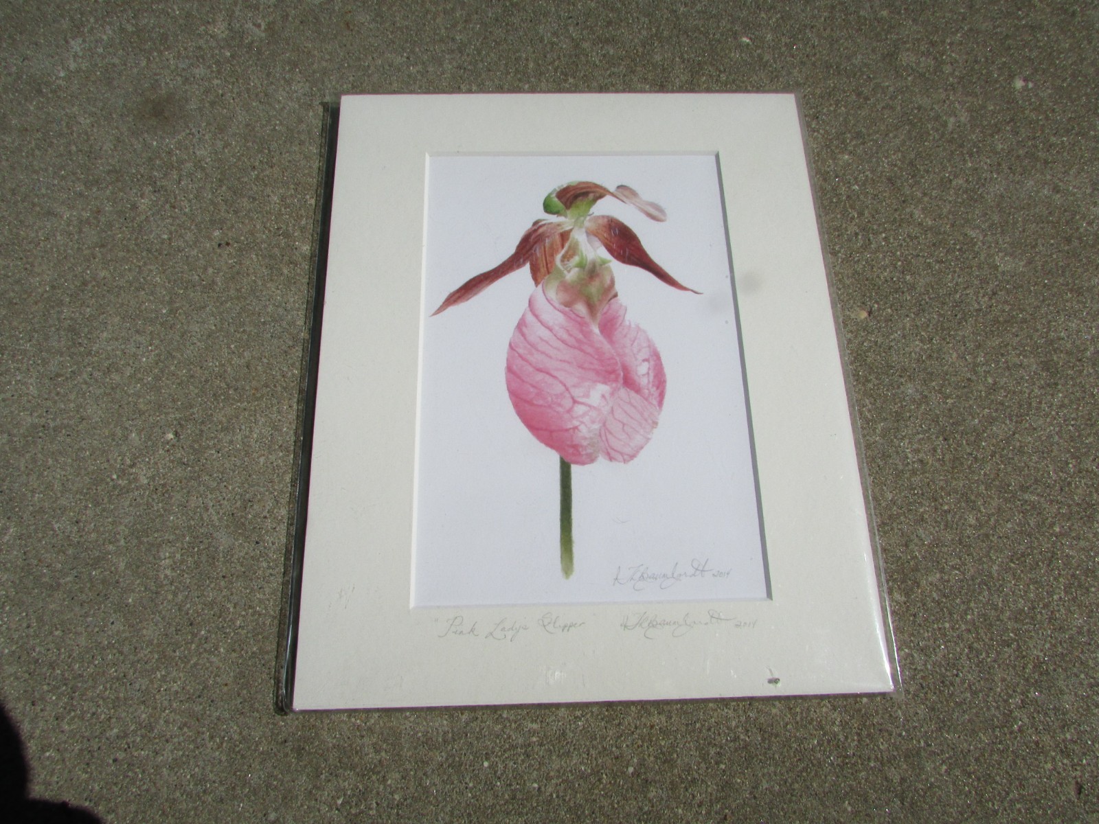 Snow Fairy Farm Artwork by T.L. Baumhardt Signed PINK LADY SLIPPER Watercolor