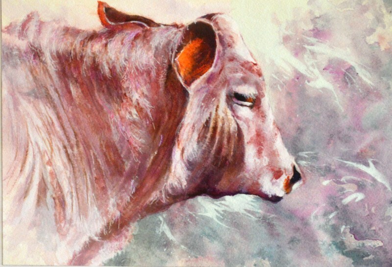 ORIGINAL WATERCOLOR Cow Painting Farm Animal Impressionism Dianne Patula