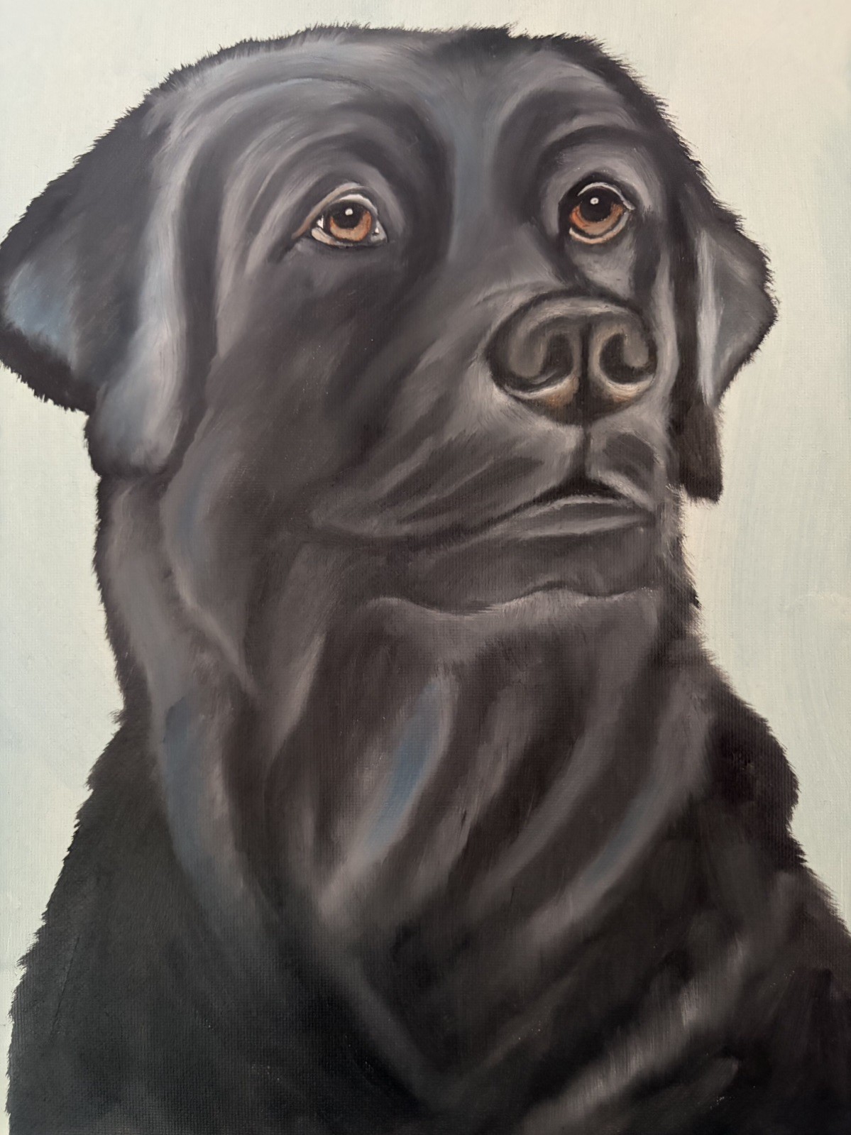 Original oil painting 11 x 14 inches handsome black Labrador retriever dog