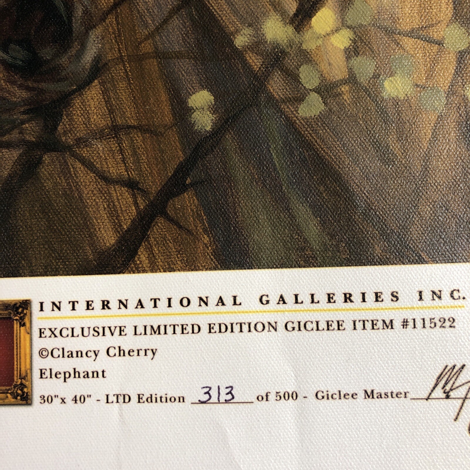 International Galleries Giclee Print Canvas Elephant Painting C. Cherry 29X39”