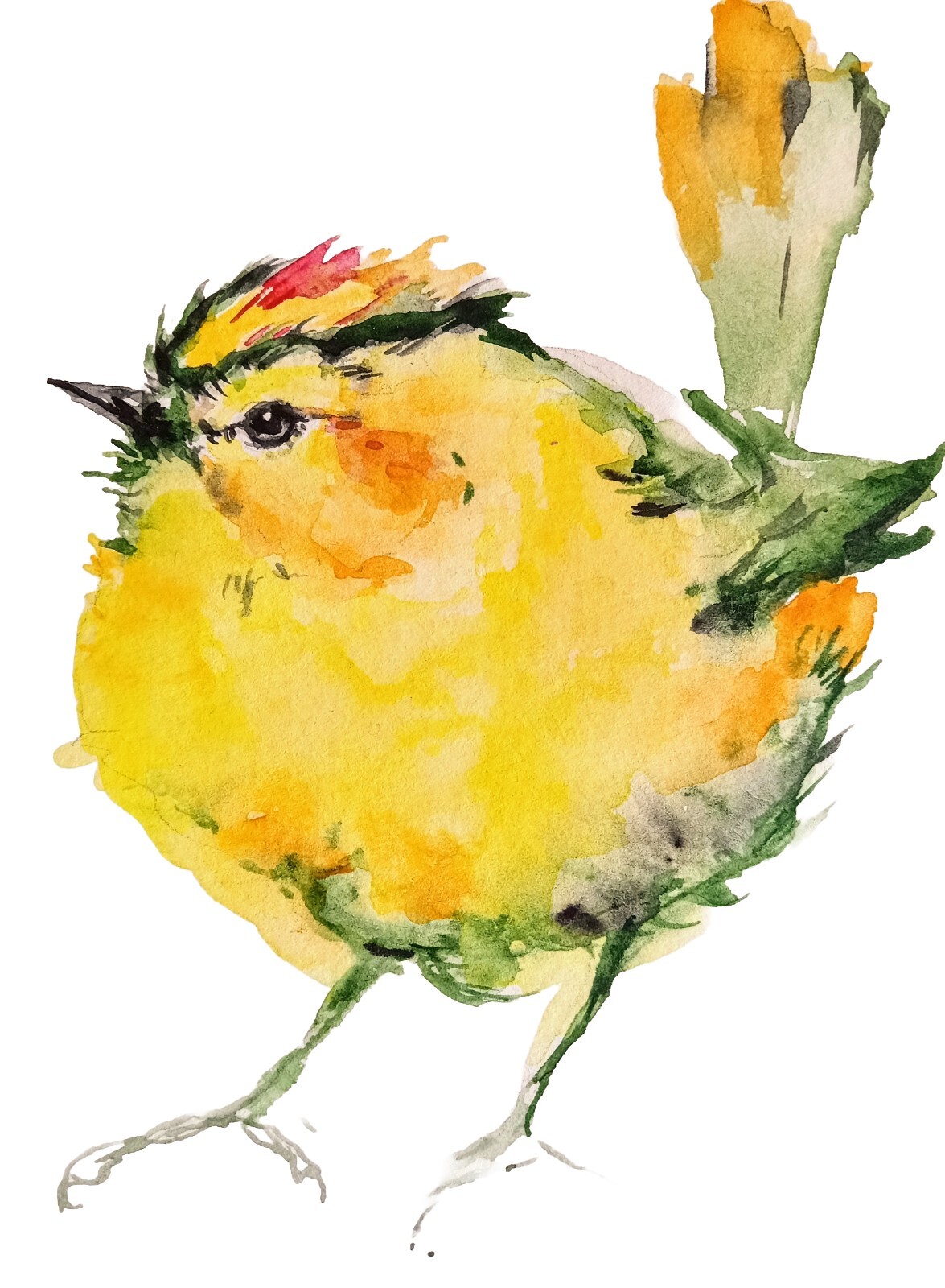 Yellow tit Bird art watercolor painting signed,nature lover unique gift