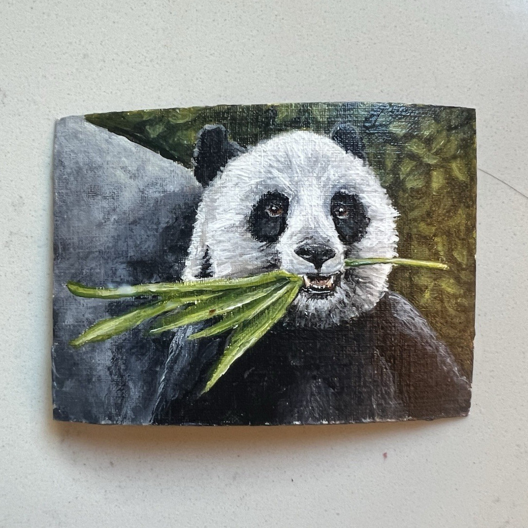 Signed Original Acrylic ACEO Miniature Realism Panda Wildlife Painting