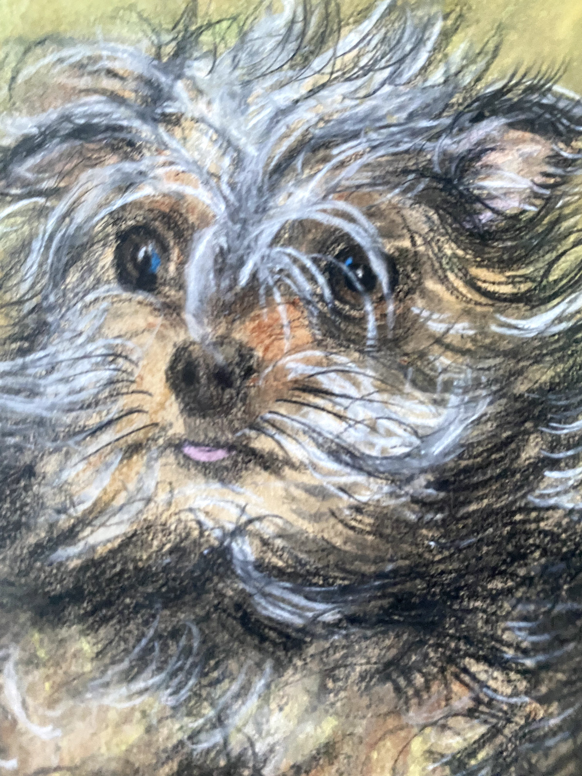 Dog Berherd Wolde Terrier Drawing Antique Animals Frame ° Interesting Made