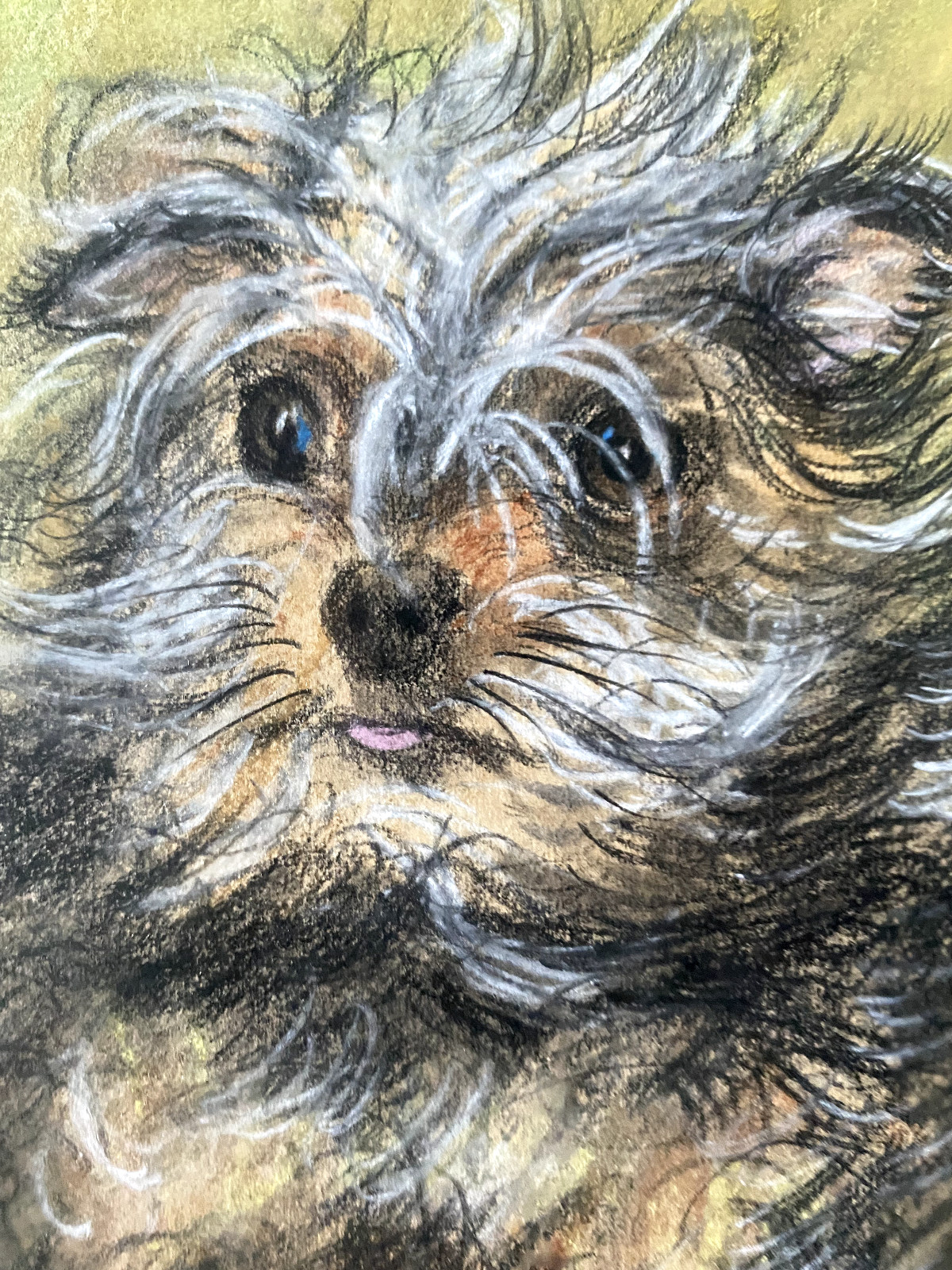 Dog Berherd Wolde Terrier Drawing Antique Animals Frame ° Interesting Made