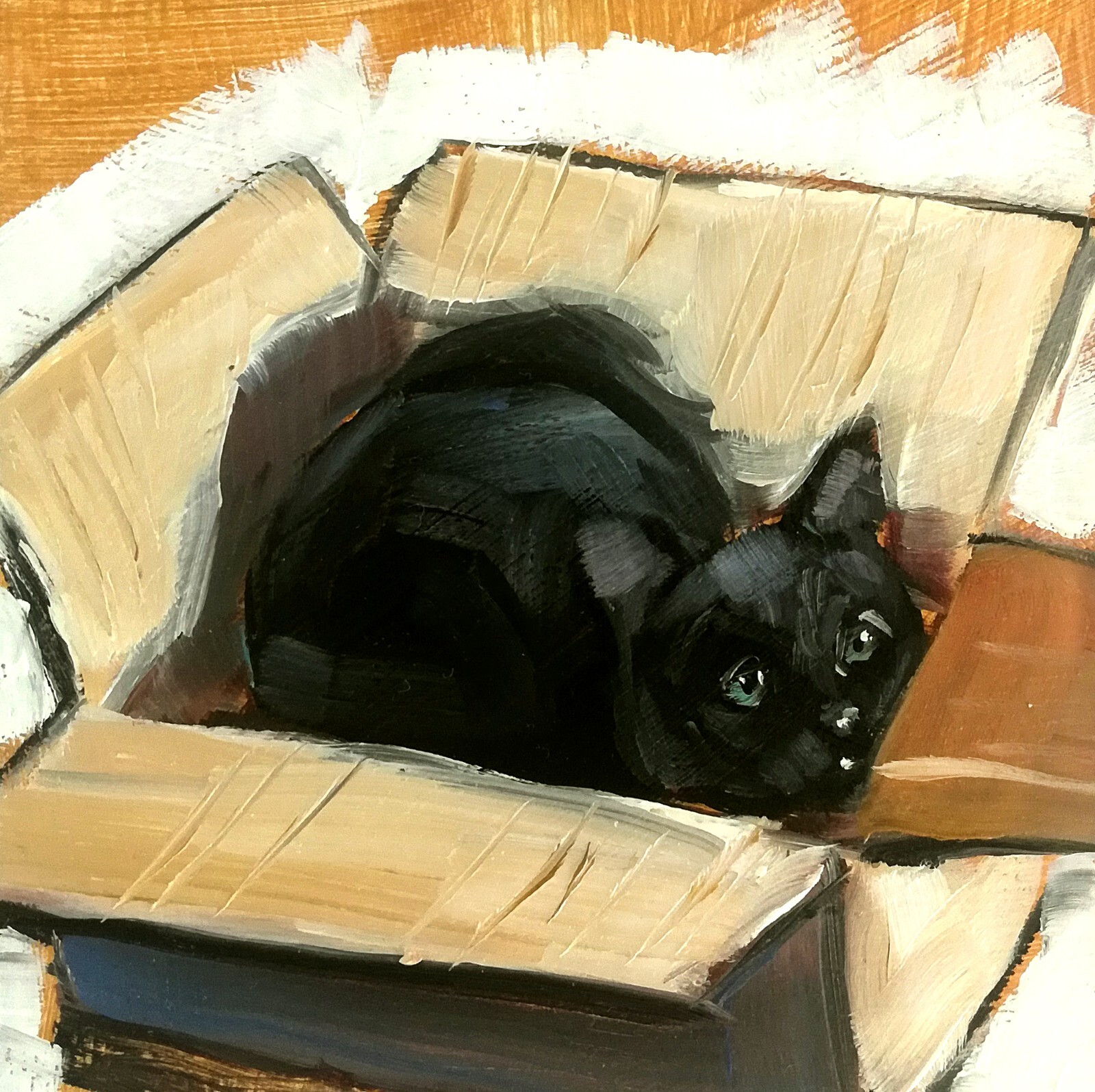 Original Oil Painting Black Cat in Box Funny Animals Art Signed MADE TO ORDER
