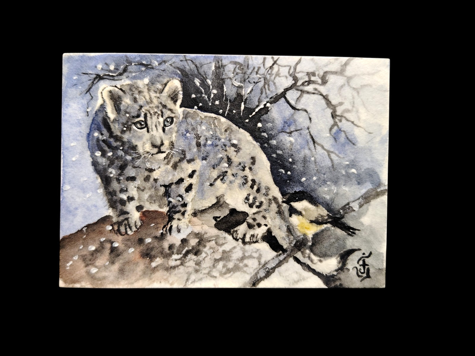 Signed Original Aceo Water Color Painting Snow Tiger Cub Cat Bird 2013 Jose V