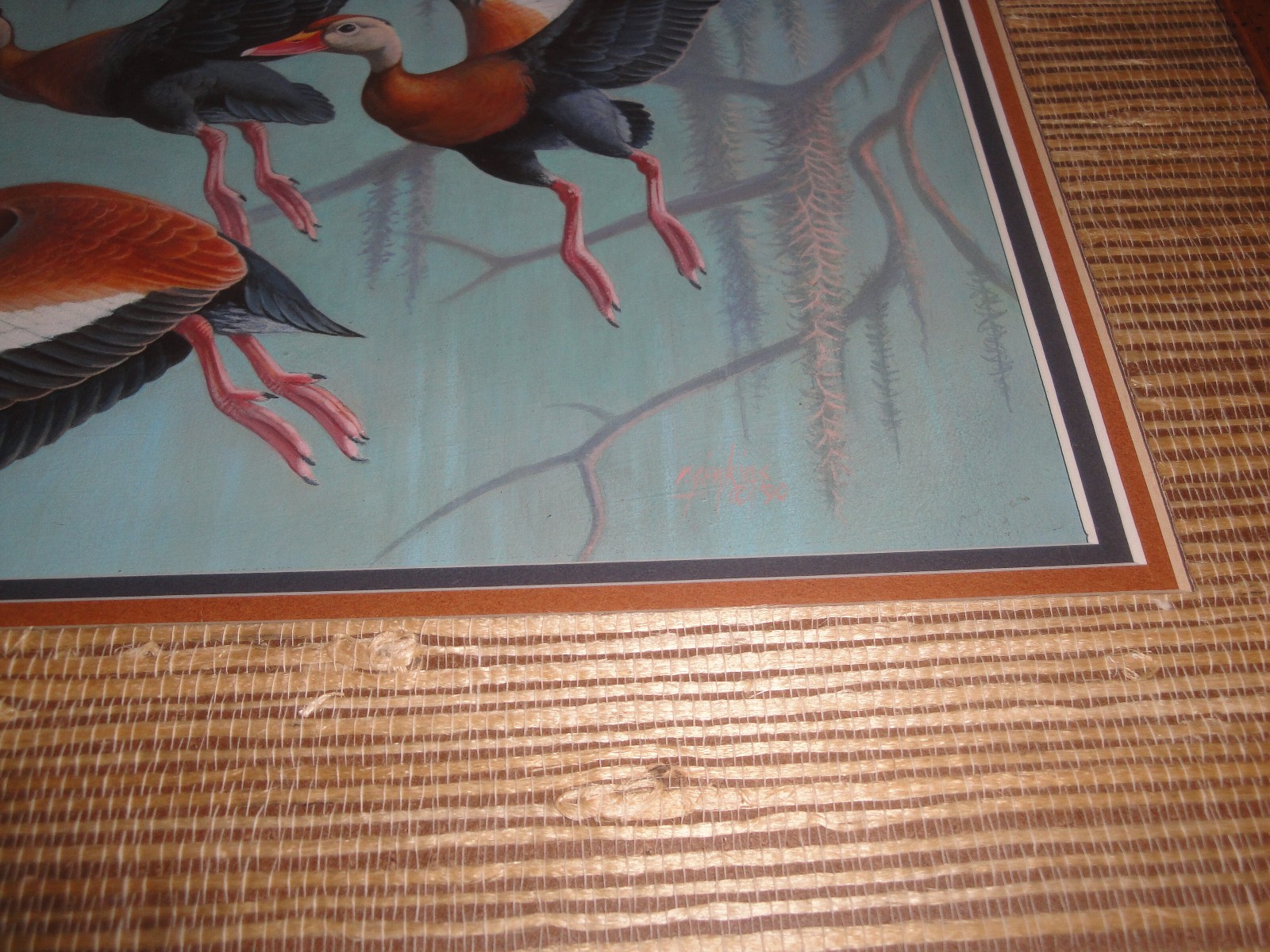 Federal Duck Stamp Winner Ron Jenkins Original Duck Stamp Entry LOOK!