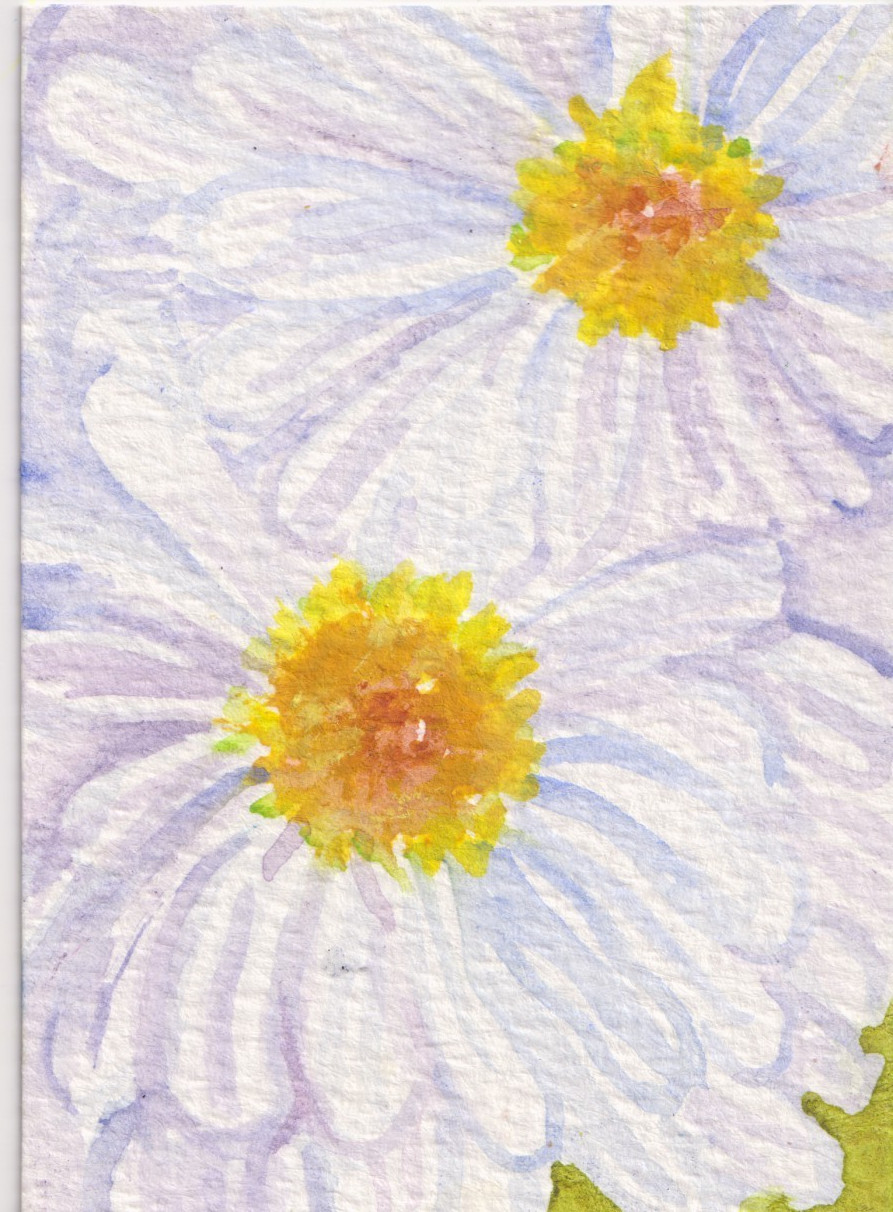 Daisies Flowers ACEO Original White Daisy Watercolor Painting Sharon Foster