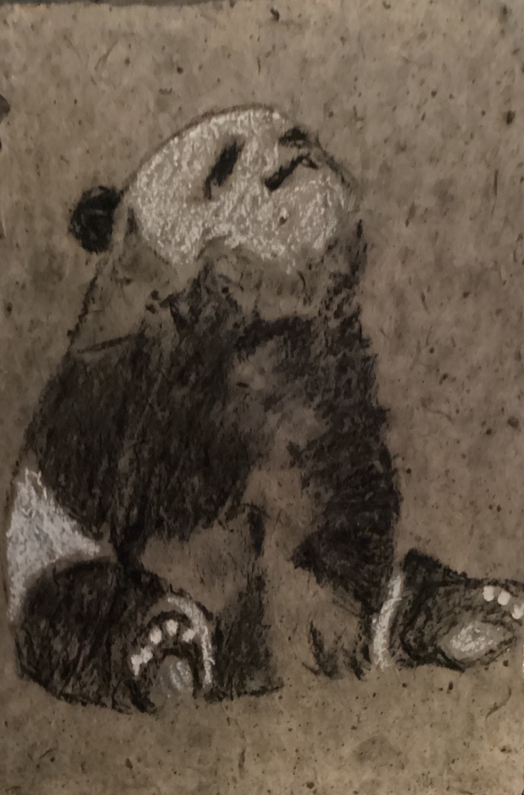 Panda Bear Chinese Styled Textured Handmade Mulberry Paper 11×15 Original Art