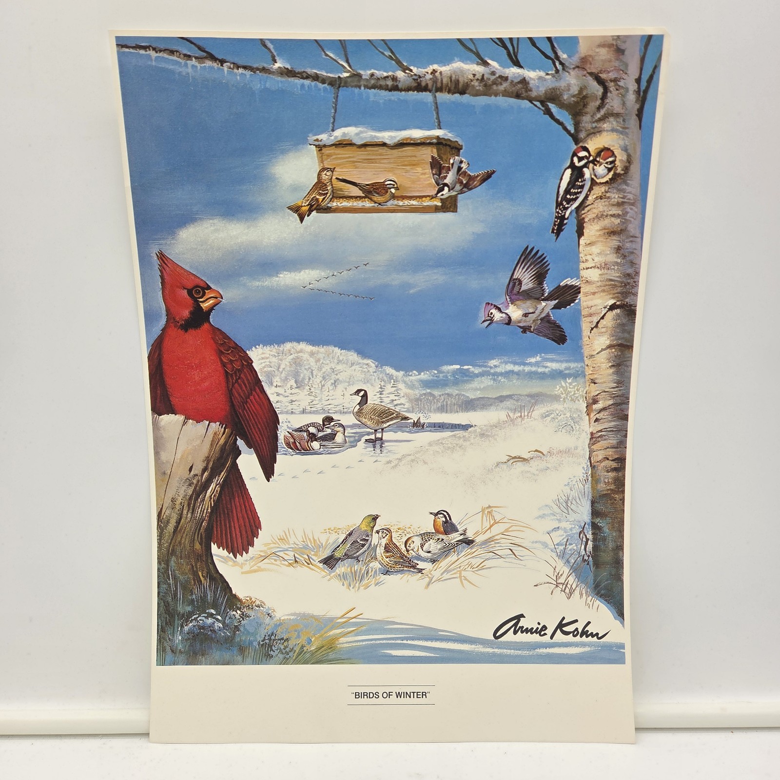 Arnie Kohn “Birds of Winter” Vintage 1960s Wildlife Print Art Cardinal Scene