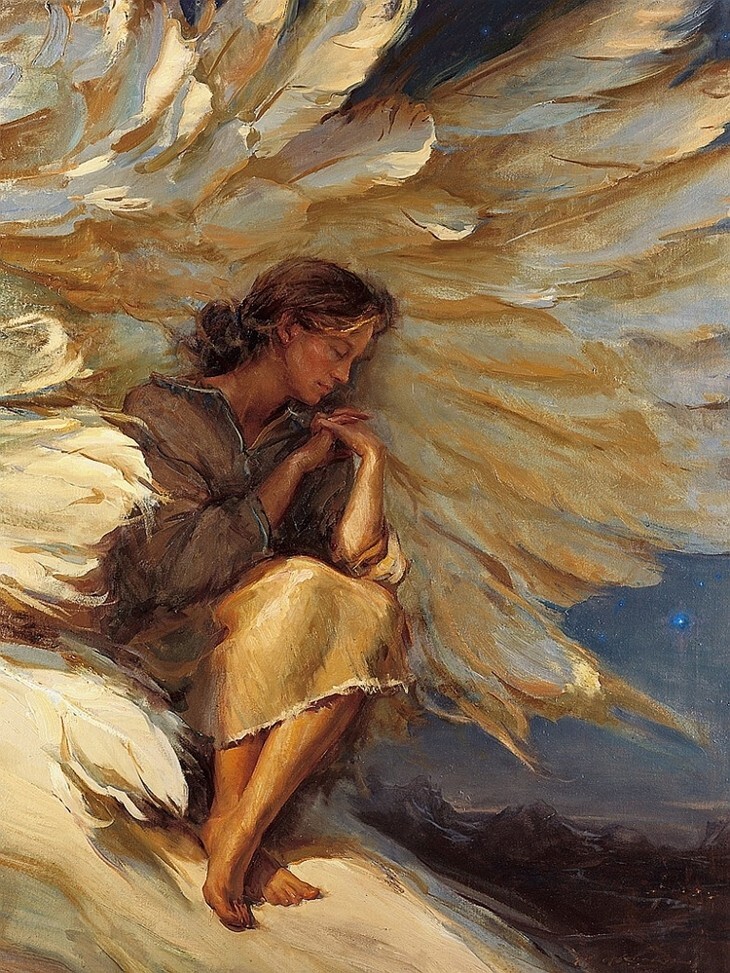 Hand Painted Oil Painting Angel Wings