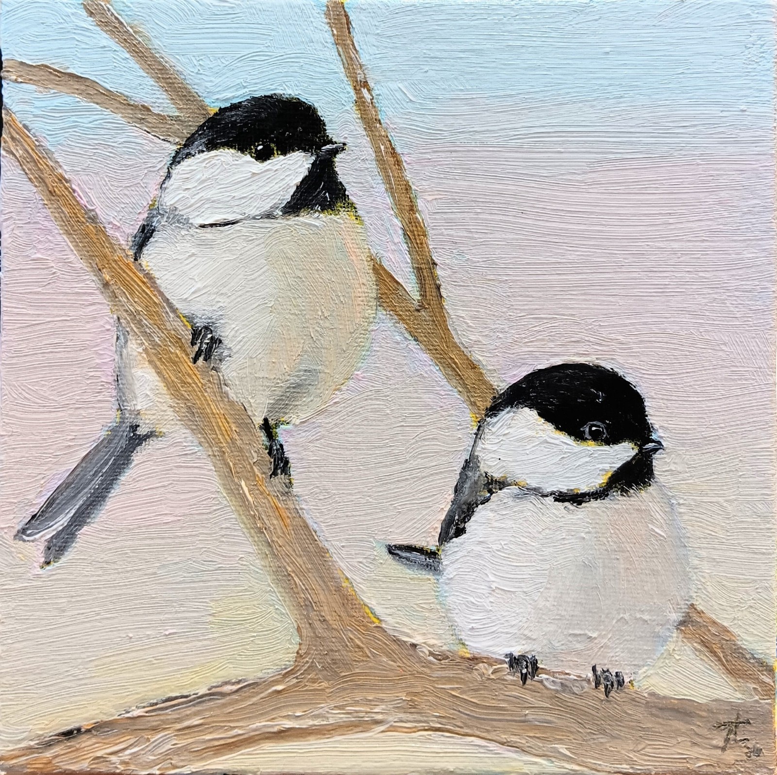 WIINTER BUDS, 6X6 Original Oil Painting of Chickadees by Ty Livingston.