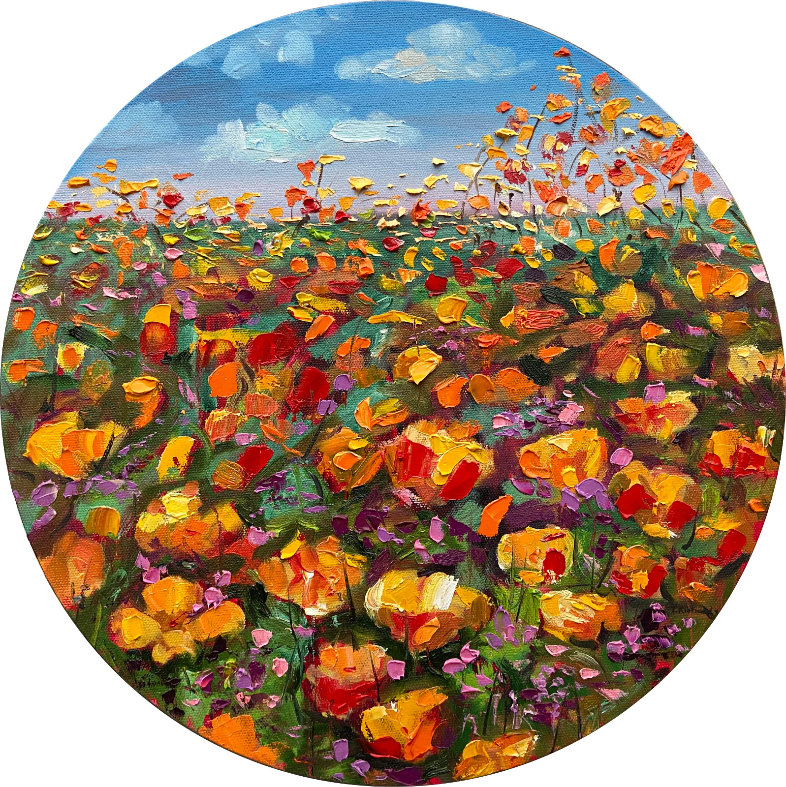 Oil painting ORIGINAL art California poppy field landscape wall art  16×16″