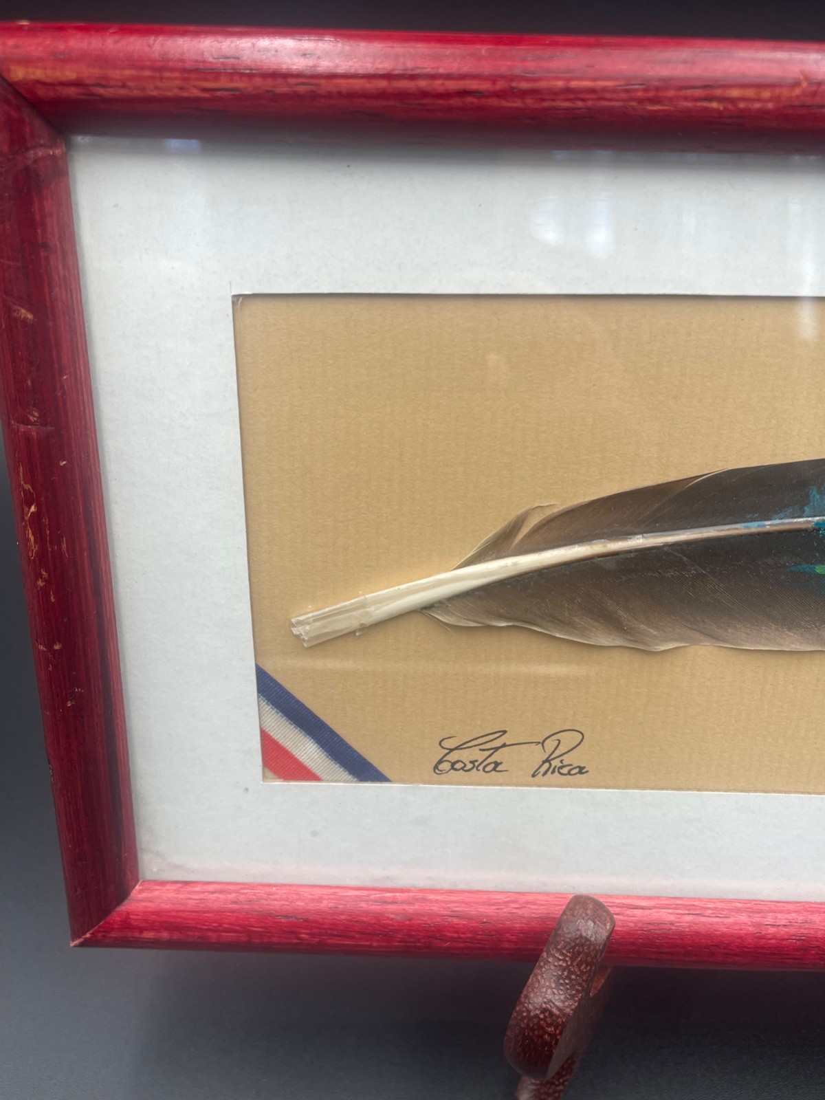 Costa Rican HandPainted Feather Signed By Artist Professionally Matted & Framed