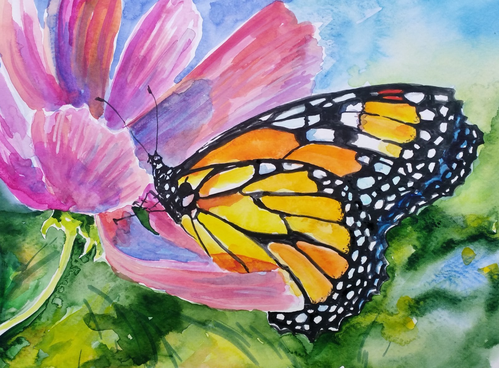 Original painting on paper, MONARCH BUTTERFLY, 12×9″, signed
