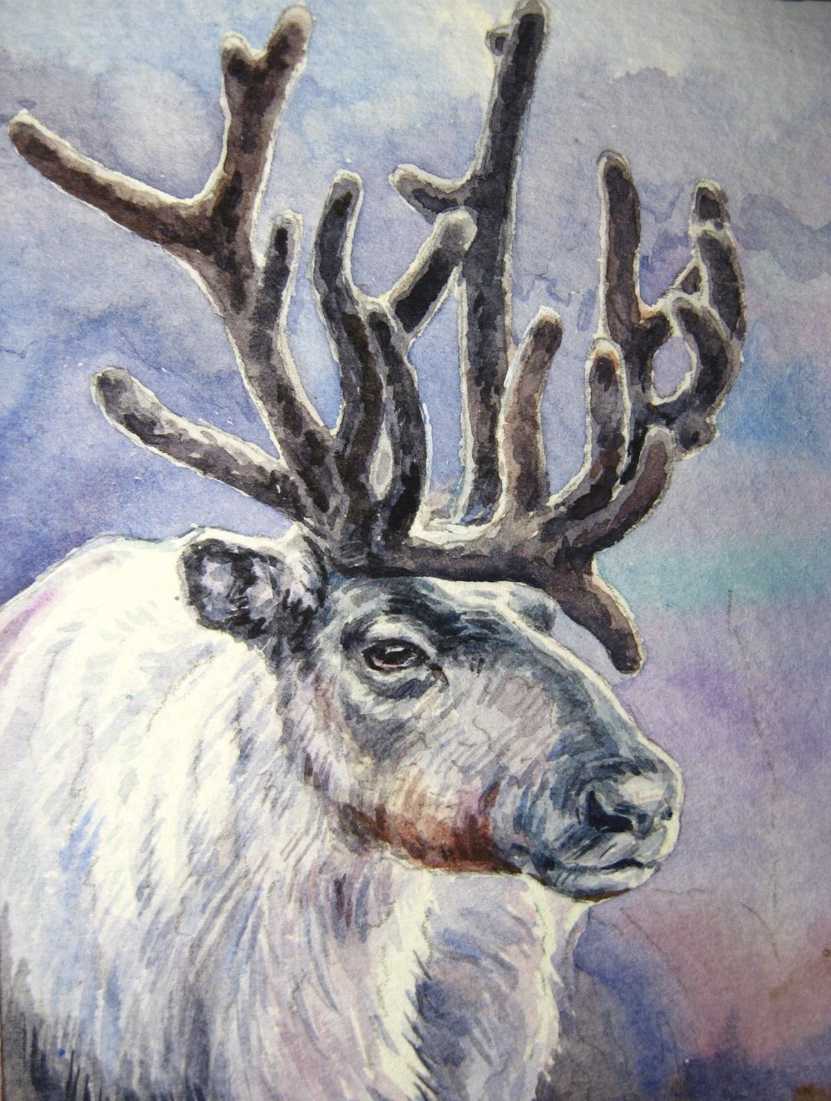 Watercolor Painting Reindeer Moose Elk Deer Art No.385