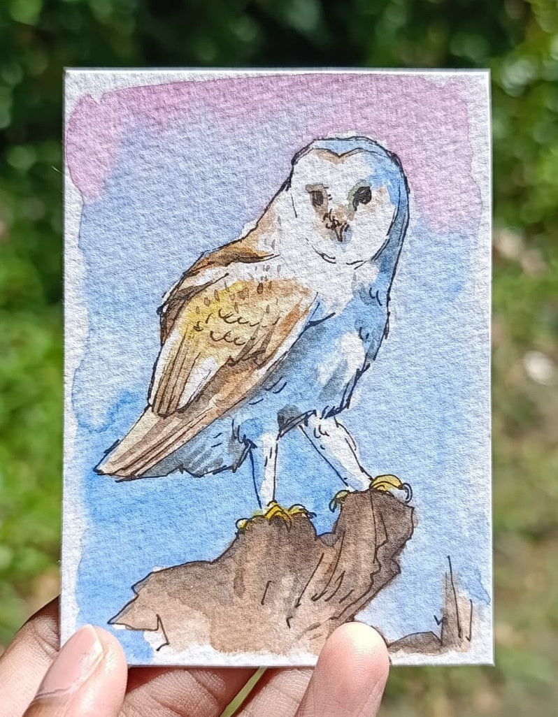 ACEO Original Watercolor Painting Barn Owl on Stump Colorful Sky OOAK Bird Art