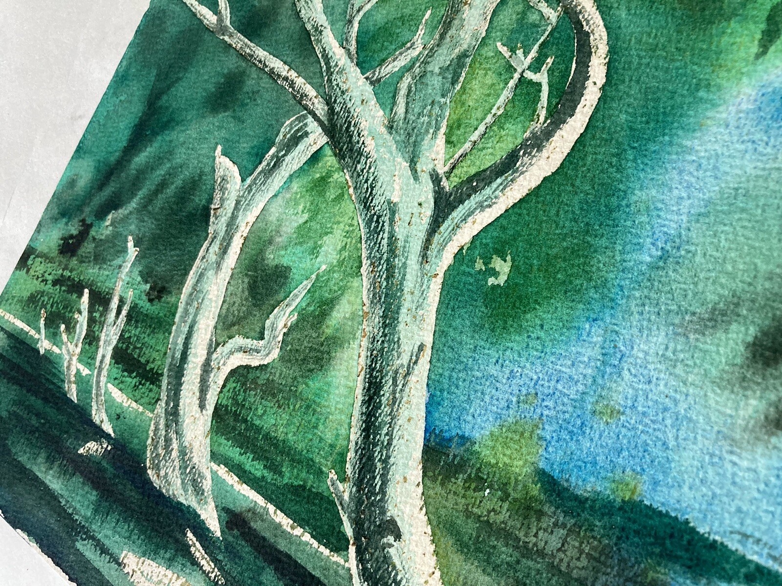 Mid-Century Woodland Watercolor 14″ Fallen Tree 60s Forest Scene National Parks