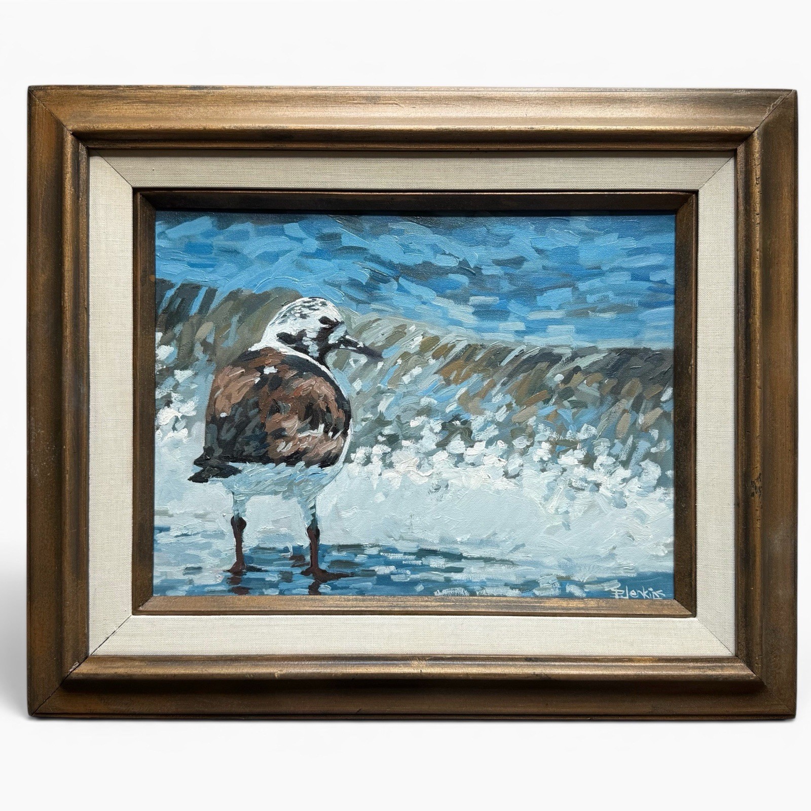 Paul Jenkins Florida Cocoa Beach Ruddy Turnstone Bird Oil Painting 12×16