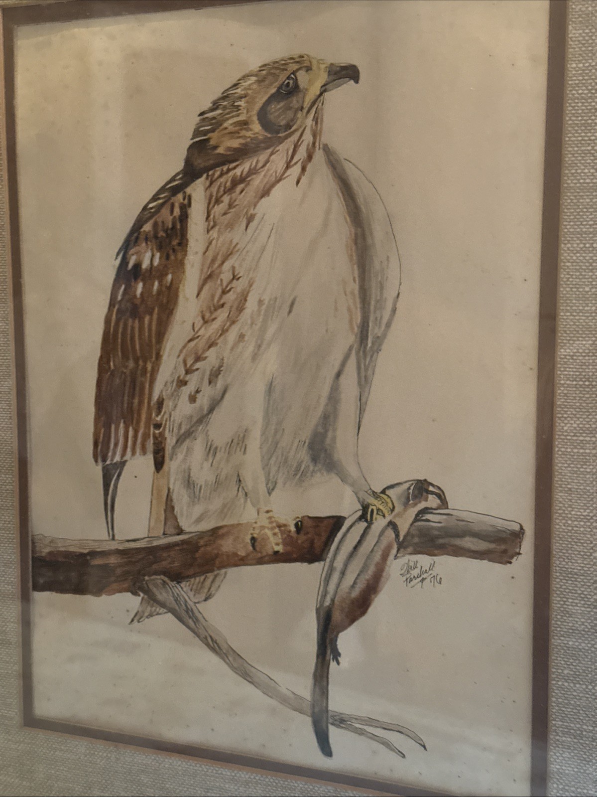 Vtg Bird Art Painting American Hawk Signed Neil Parchall 1976 Framed