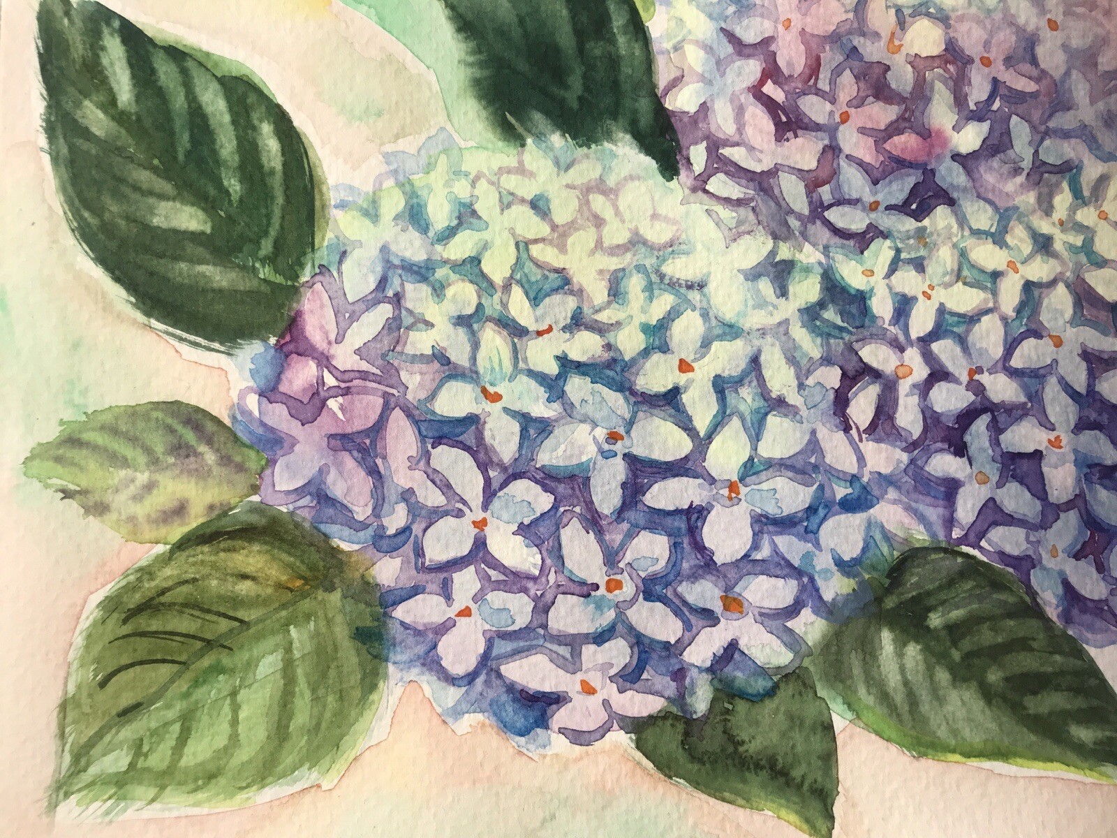 Original Watercolor. Hydrangea Flowers. Blue, Purple Floral Wall Art 9″x12″