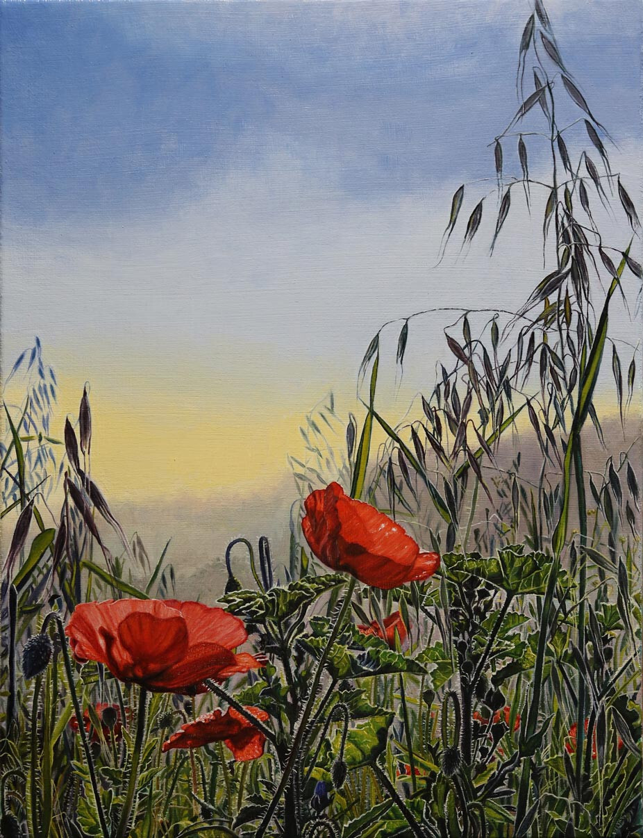 Original Art Oil Painting Landscape On Canvas Red Poppies Spring Flowers Signed