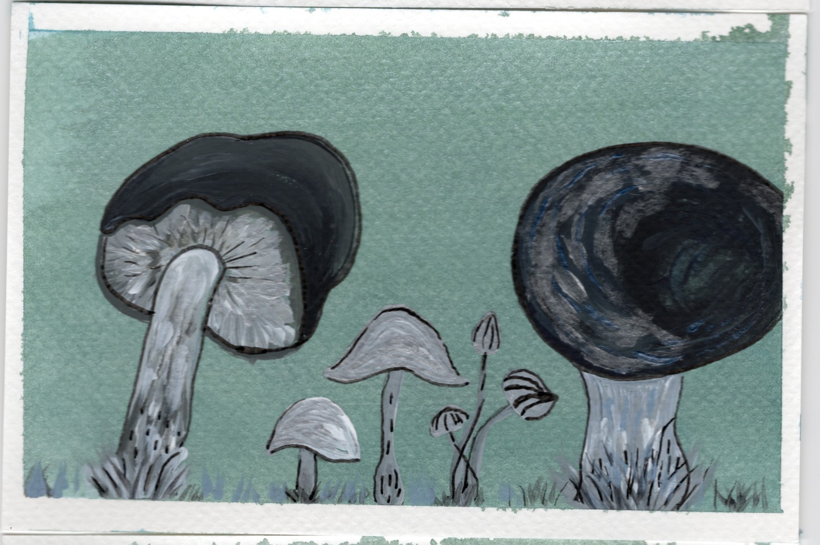 ACEO Limited Edition Art Print Nature Numbered Prints Watercolor Ink 1 of 12
