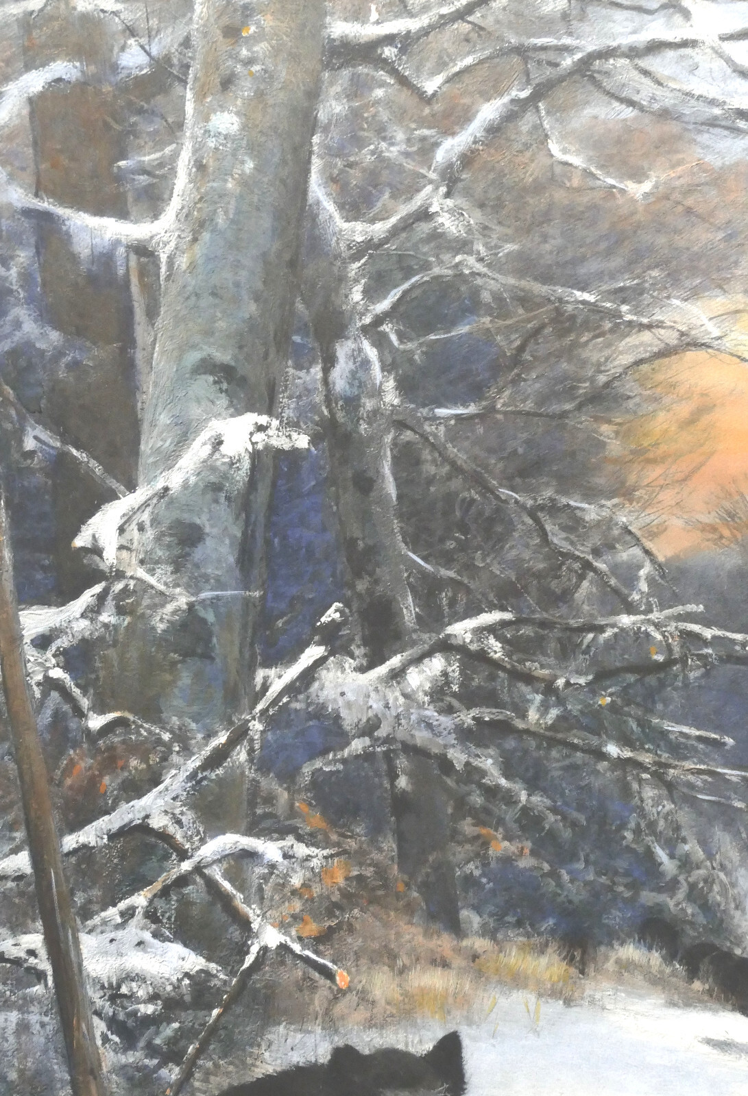 Christian Kröner Gouache – Paper «Wild Boar Rotto» 1893 Framed 53.5 x 37.5 cm