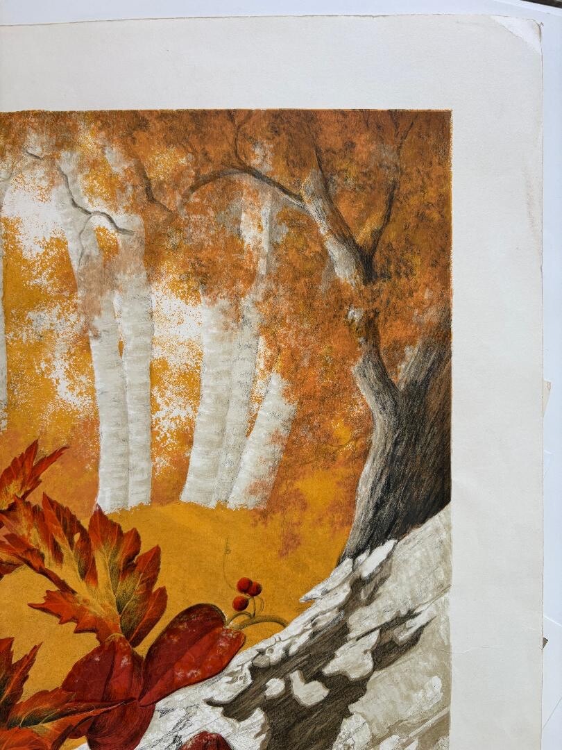 Autumn in the FOREST Hand Signed Limited Edition Artwork Print 57/200