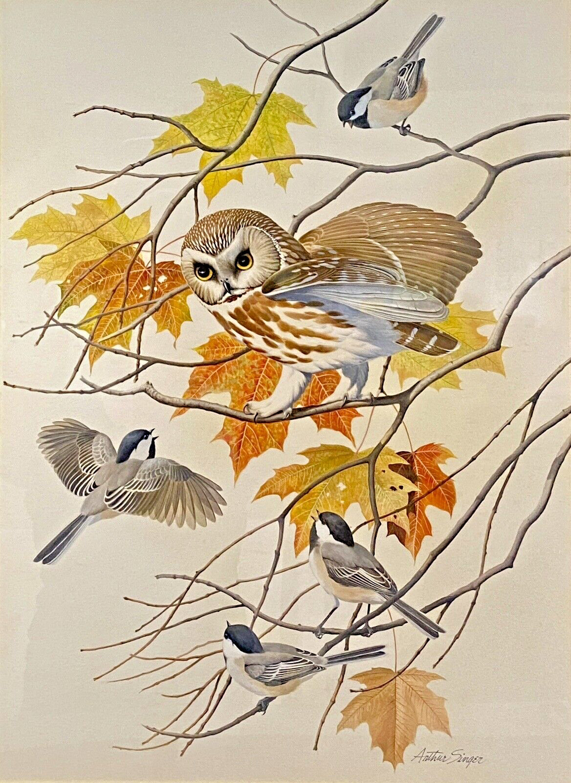 Orig Bird Art Painting Saw-whet Owl & Chickadee by Arthur Singer, Signed, c1970s