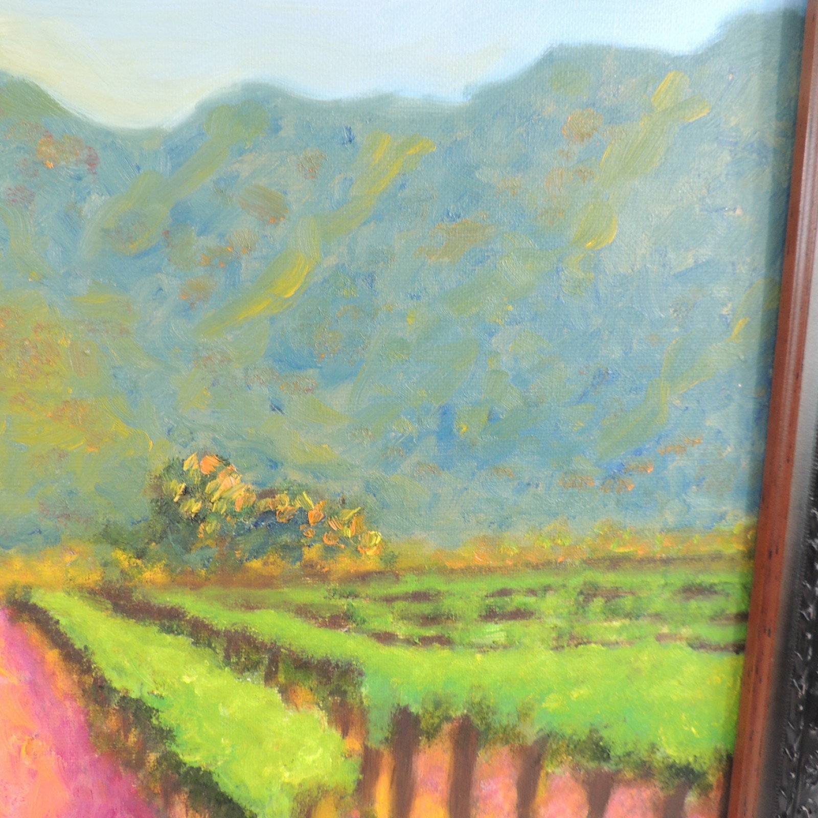 Original Painting Springtime Vineyard in the Foothills Brilliant Colors Framed