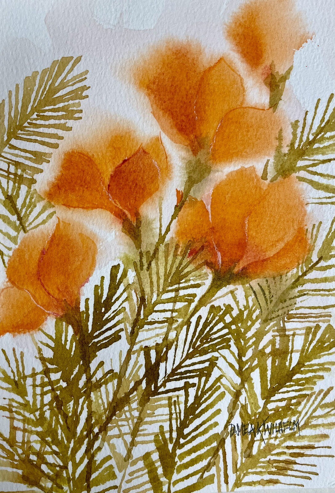 Pamela Wilhelm original 5”X7” In 8”x10” White Mat Whimsical California Poppies