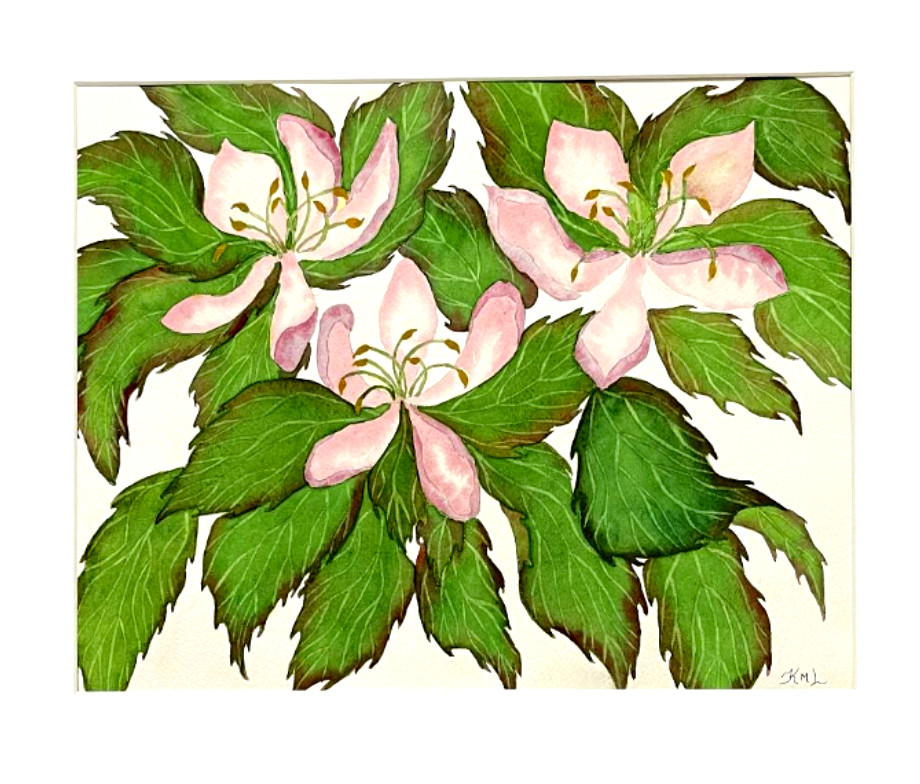 PAINTING WATERCOLOR 11X14 & MAT 16X20 FLOWER CHERRY BLOSSOMS PINK ORIGINAL ART