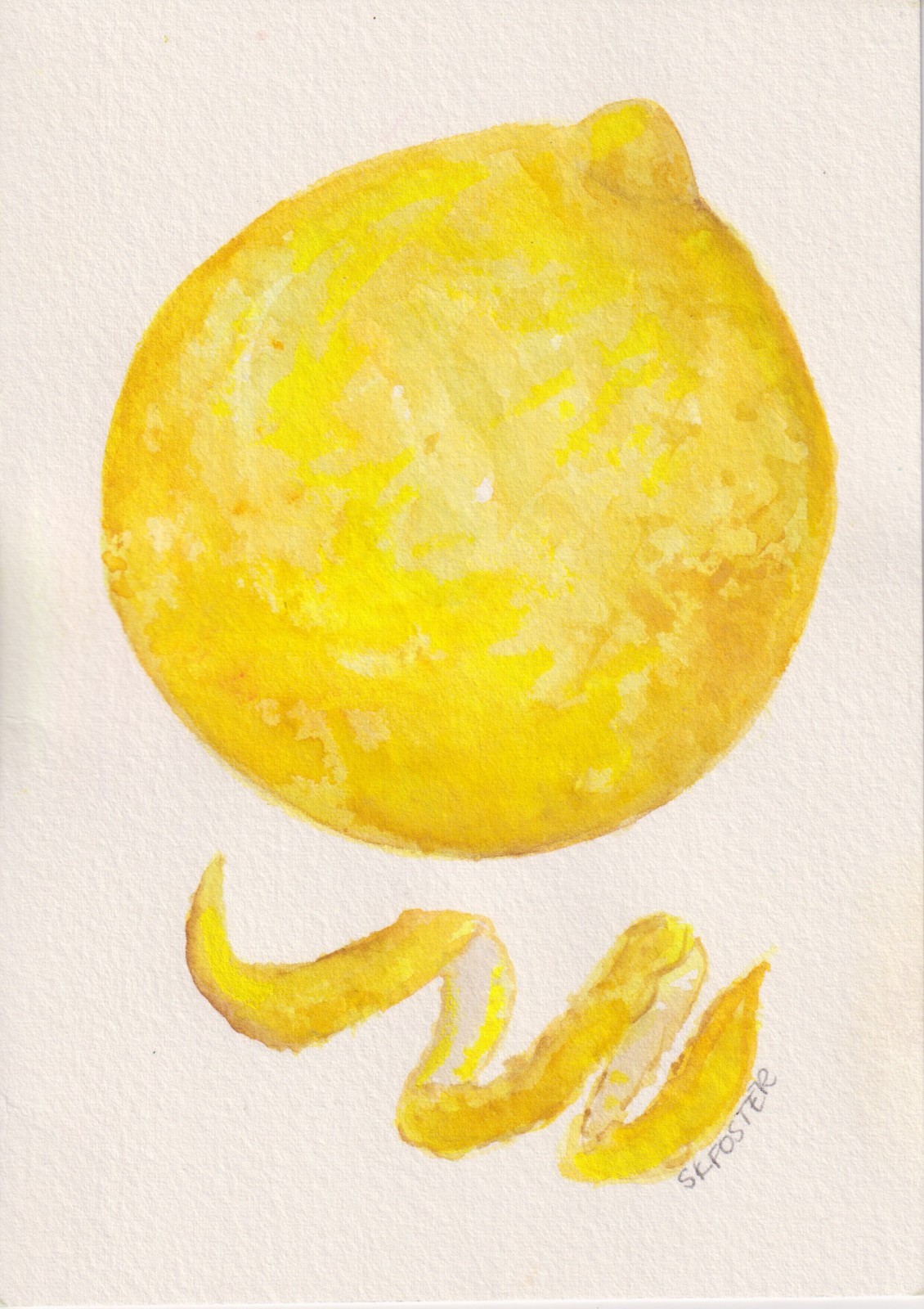 5×7 Lemon with a Twist Original Watercolor Painting Sharon Foster Art