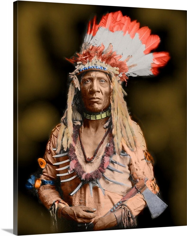 Chief Native American Indian Canvas Wrapped 16 x 20 Vintage 1800s Photo Art
