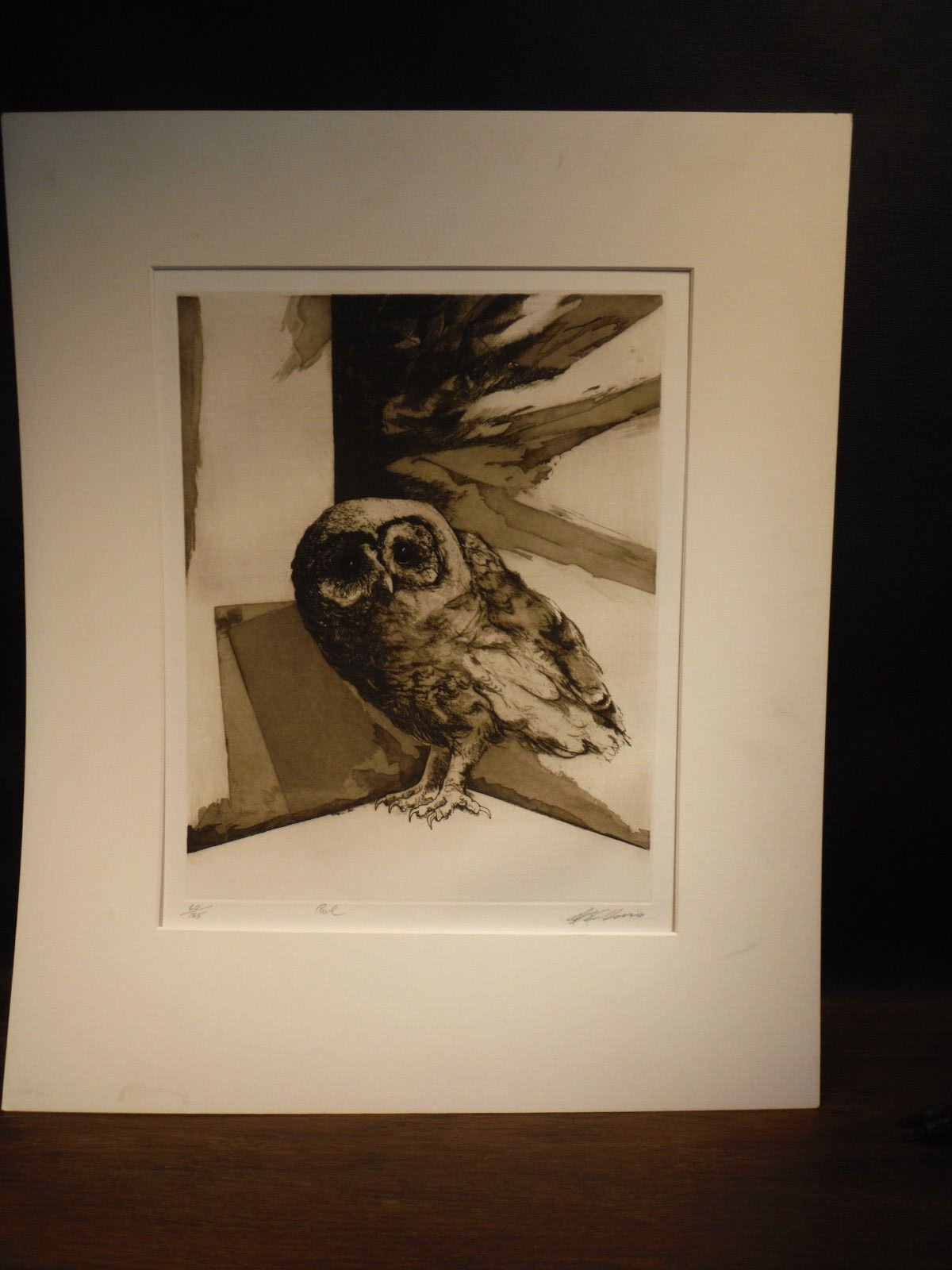 Owl – Jack Coughlin (1932-), Print of Etching on Paper, s/n 60/125 – 1969
