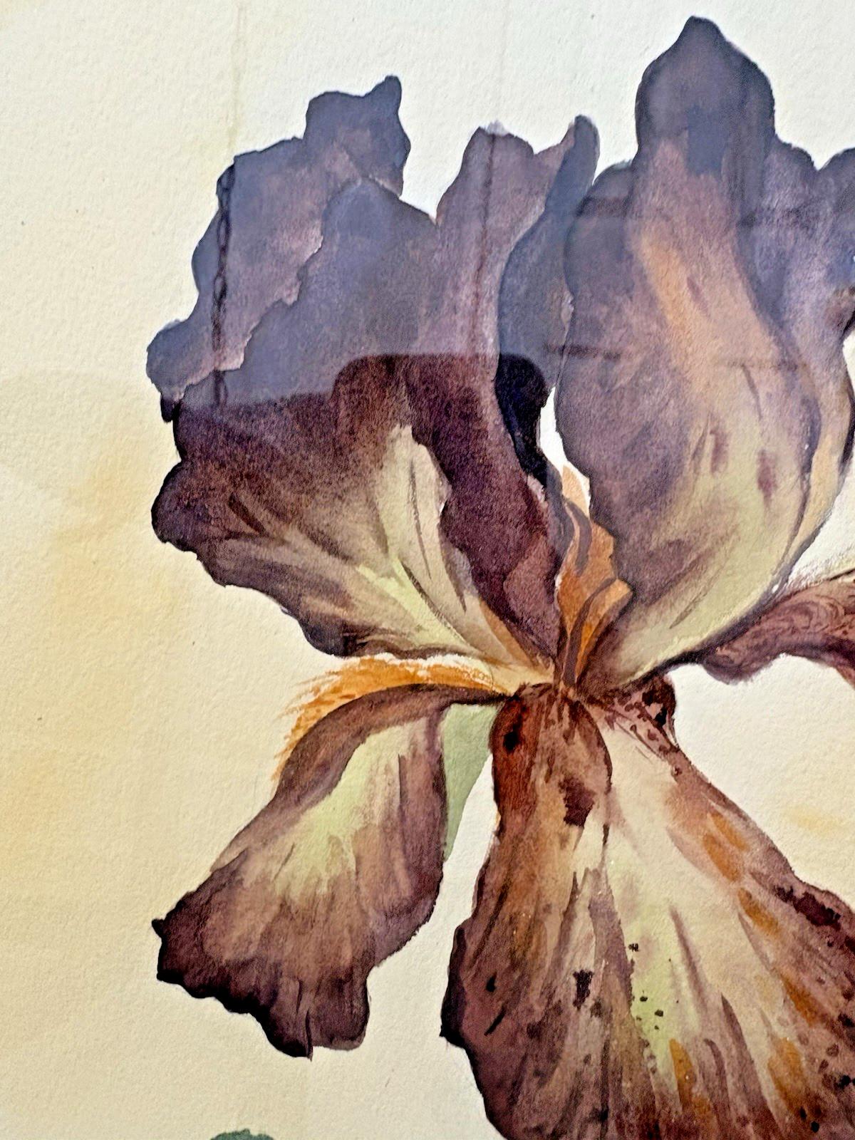 Large Gorgeous Watercolor Purple Iris Asian Signed Stamped Matted Framed Floral
